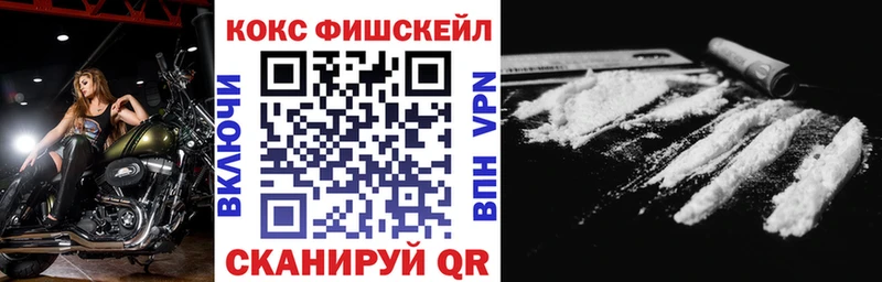 Cocaine FishScale  Купить  Заводоуковск 