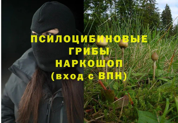 гидропоника Покровск