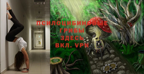 a pvp Покачи