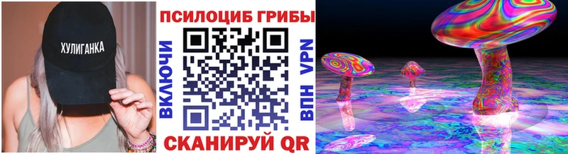 Галлюциногенные грибы прущие грибы  Купить  Заводоуковск 